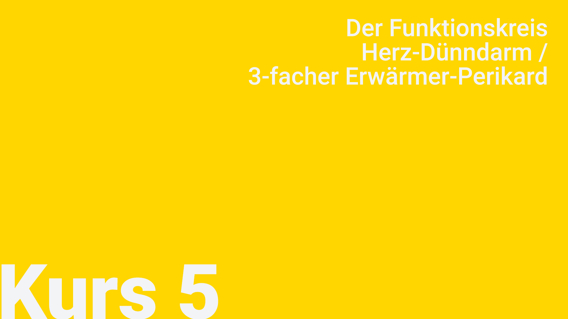 5. Funktionskreis Herz-Dünndarm /3-facher Erwärmer-Perikard