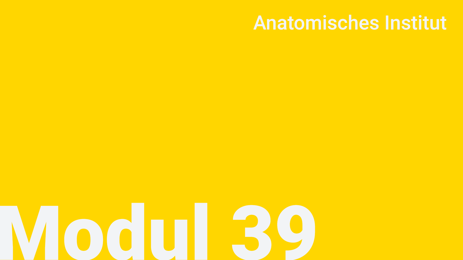 Modul 39 - Anatomisches Institut